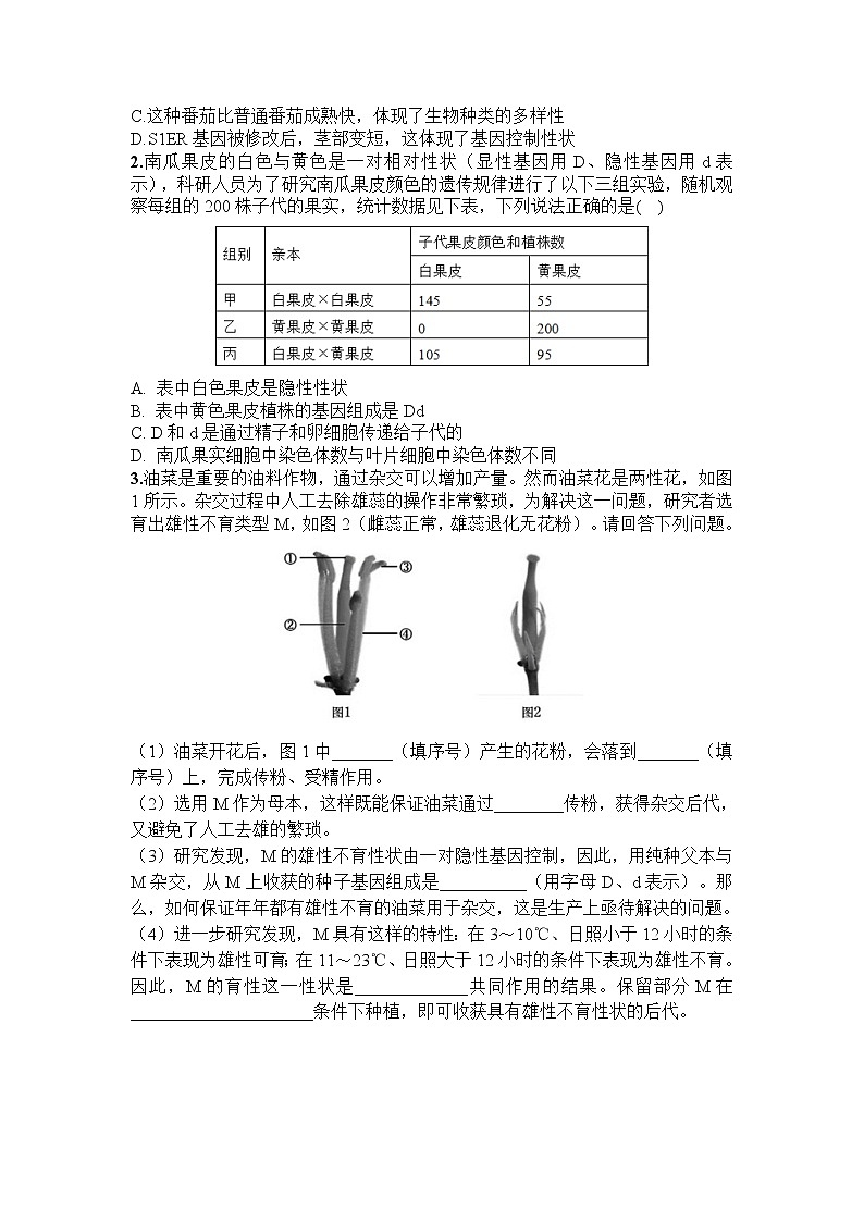 人教版（新课标）生物八下：7.2.1《基因控制生物的性状》（专题复习）课件（送教案+习题）03
