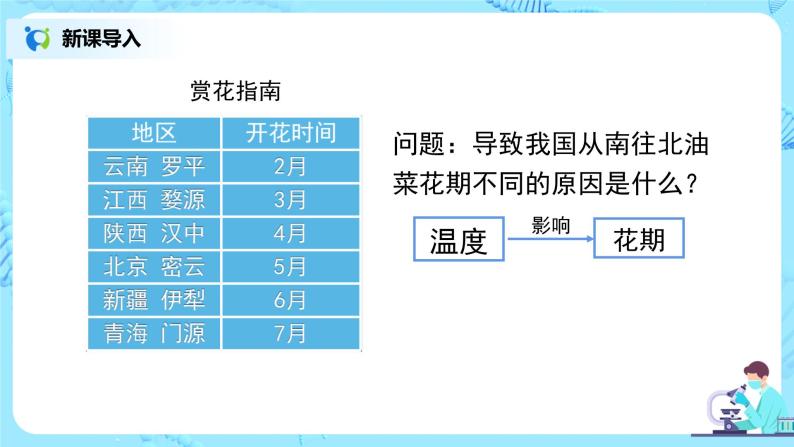 人教版（新课标）生物八下：7.2.1《基因控制生物的性状》（专题复习）课件（送教案+习题）04