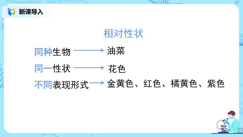 人教版（新课标）生物八下：7.2.1《基因控制生物的性状》（专题复习）课件（送教案+习题）06