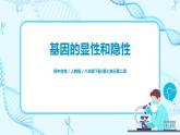 人教版（新课标）生物八下：7.2.3《基因的显性和隐性》课件（送教案+习题）