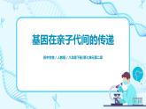 人教版（新课标）生物八下：7.2.2《基因在亲子代间的传递》课件（送教案+习题）