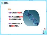 人教版（新课标）生物八下：7.2.2《基因在亲子代间的传递》课件（送教案+习题）