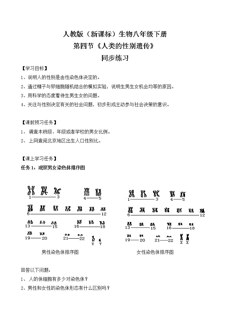 7.2.4《人的性别遗传》同步练习第1页