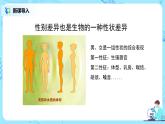 人教版（新课标）生物八下：7.2.4《人的性别遗传》课件（送教案+习题）