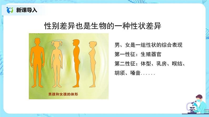 7.2.4《人的性别遗传》课件第3页