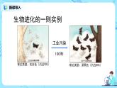 人教版（新课标）生物八下：7.3.3《生物进化的原因》课件（送教案+习题）