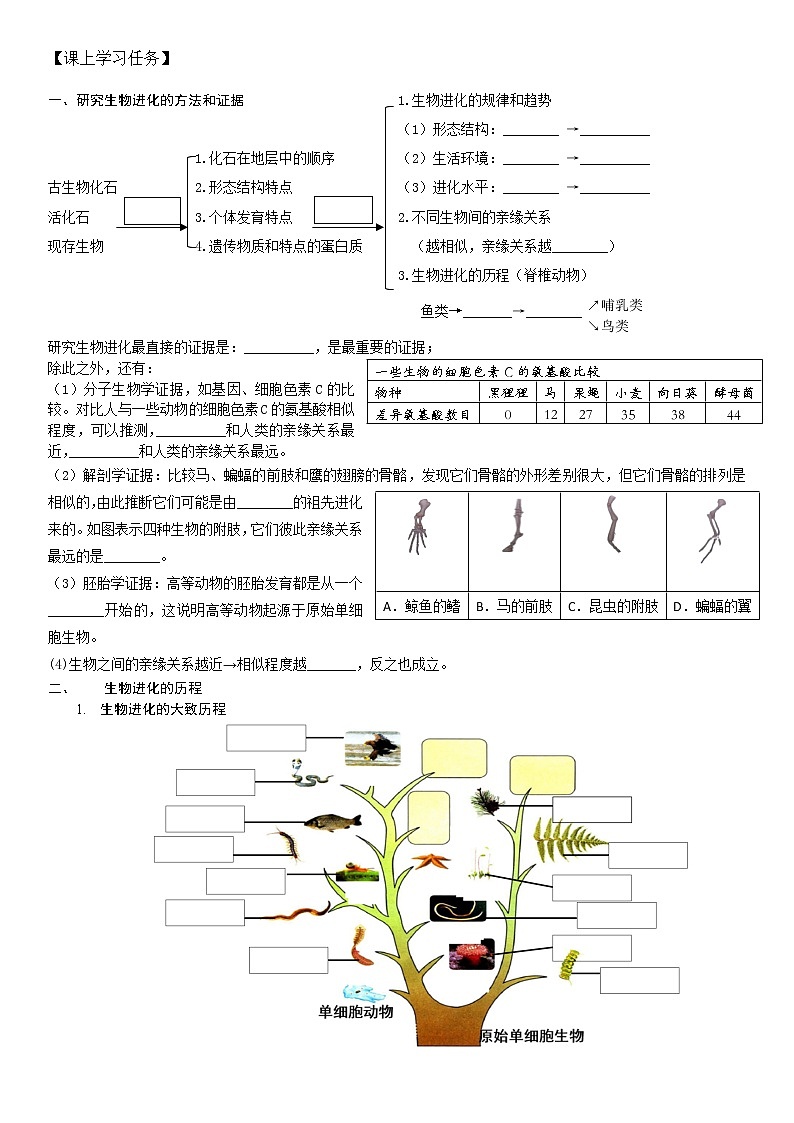 人教版（新课标）生物八下：7.3.2《生物进化的历程》课件02