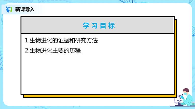 人教版（新课标）生物八下：7.3.2《生物进化的历程》课件02