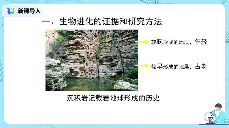 人教版（新课标）生物八下：7.3.2《生物进化的历程》课件03