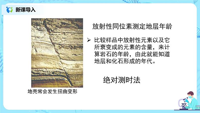 人教版（新课标）生物八下：7.3.2《生物进化的历程》课件06