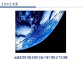 生物的特征PPT课件免费下载