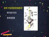 人教版（新課標(biāo)）七年級生物上冊：2.1《細(xì)胞是生命活動的基本單位》章節(jié)綜合與測試（課件+教案+練習(xí)）