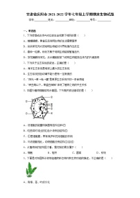 甘肃省庆阳市2021-2022学年七年级上学期期末生物试题（word版 含答案）