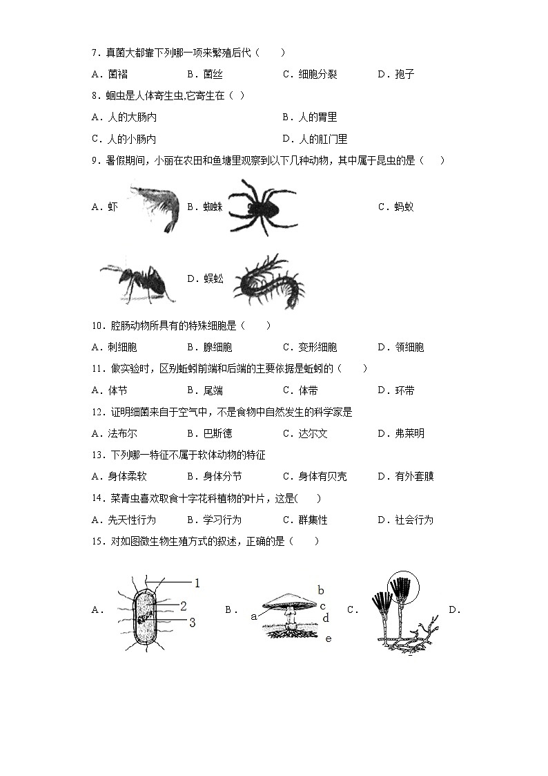 吉林省松原市前郭县2021-2022学年八年级上学期期末生物试题（word版 含答案）02