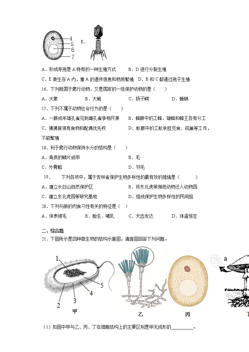吉林省松原市前郭县2021-2022学年八年级上学期期末生物试题（word版 含答案）03