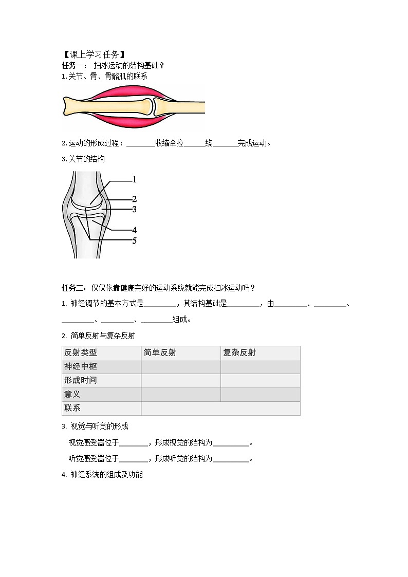 人教版（新课标）七年级生物下册：4.6《人体生命活动的调节》专题复习-课件+教案+练习02