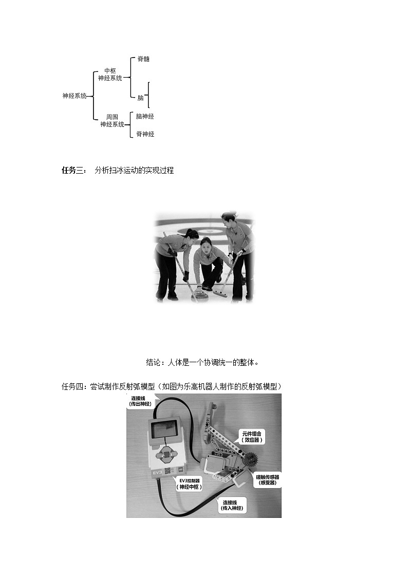 人教版（新课标）七年级生物下册：4.6《人体生命活动的调节》专题复习-课件+教案+练习03