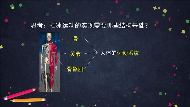 人教版（新课标）七年级生物下册：4.6《人体生命活动的调节》专题复习-课件+教案+练习06