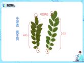 人教版（新课标）生物七上：1.1.2《调查周边环境中的生物》课件+教案+练习