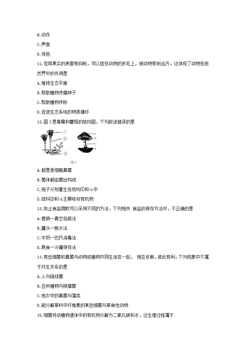 吉林省延边州2021-2022学年八年级上学期期末考试生物试题（Word版含答案）03