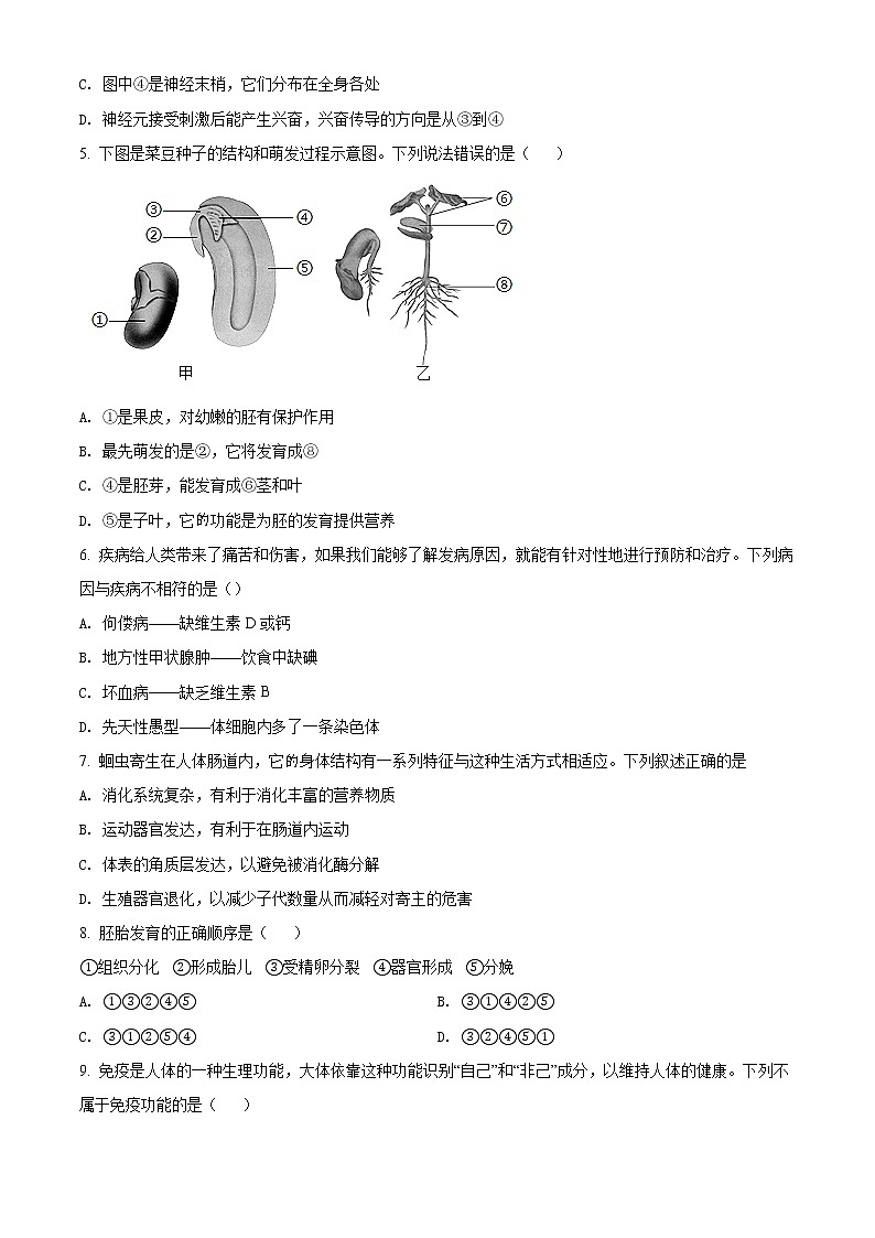 精品解析：2021年湖北省黄冈市中考二模生物试题（解析版+原卷版）02
