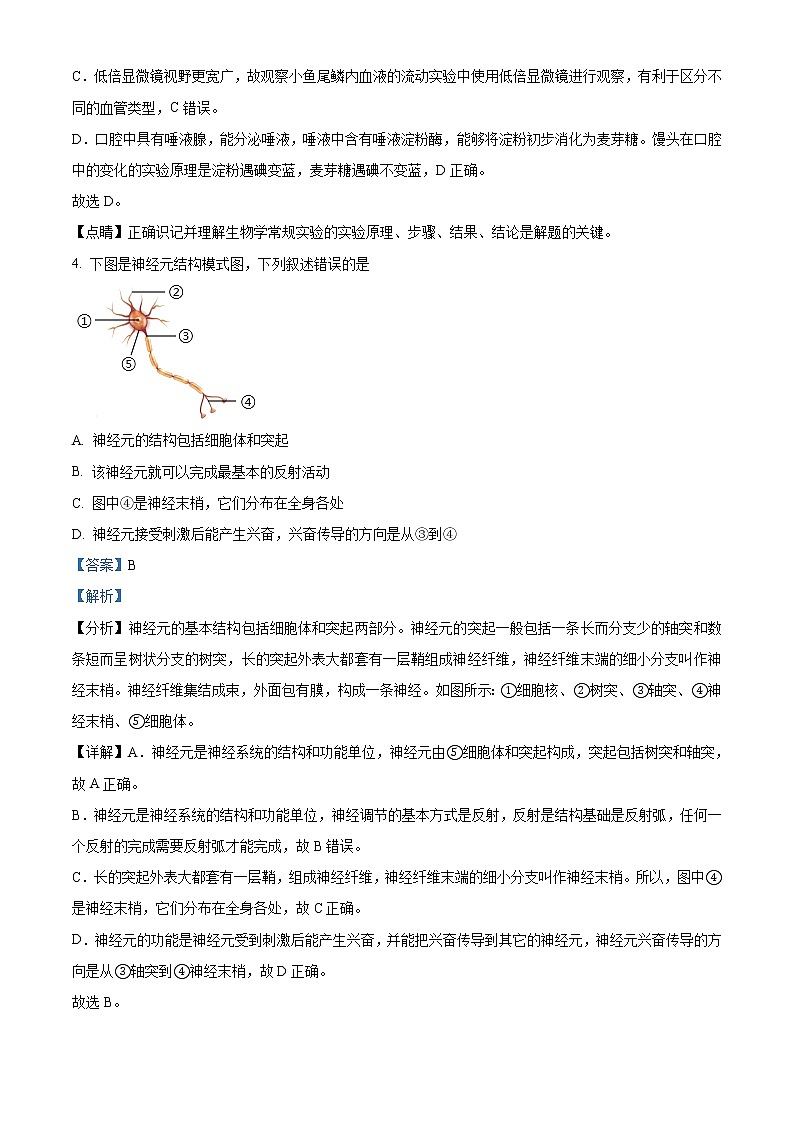 精品解析：2021年湖北省黄冈市中考二模生物试题（解析版+原卷版）03