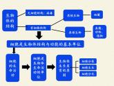 细胞的基本结构和功能PPT课件免费下载