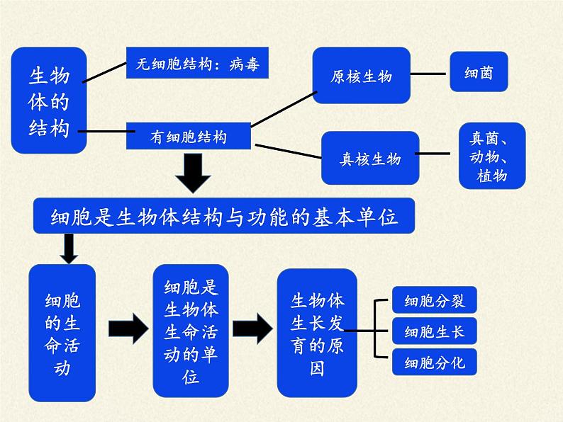 细胞的基本结构和功能PPT课件免费下载02