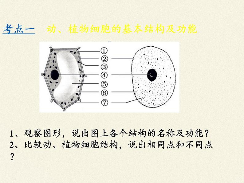 细胞的基本结构和功能PPT课件免费下载03