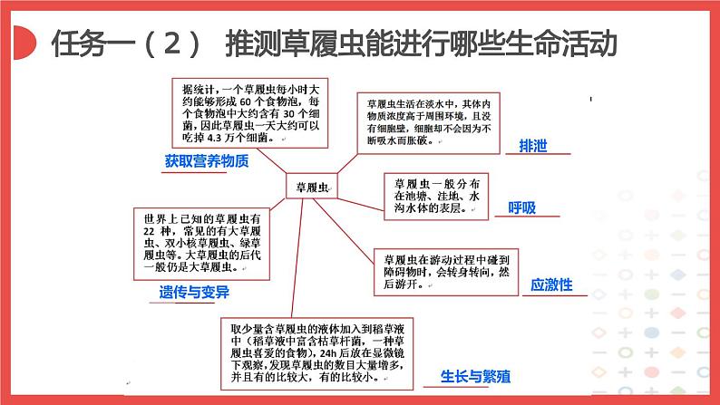 北师大版生物七年级上册 3.2 单细胞生物——细胞是生命活动的基本单位（课件）第3页