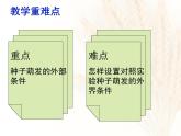 种子萌发形成幼苗PPT课件免费下载