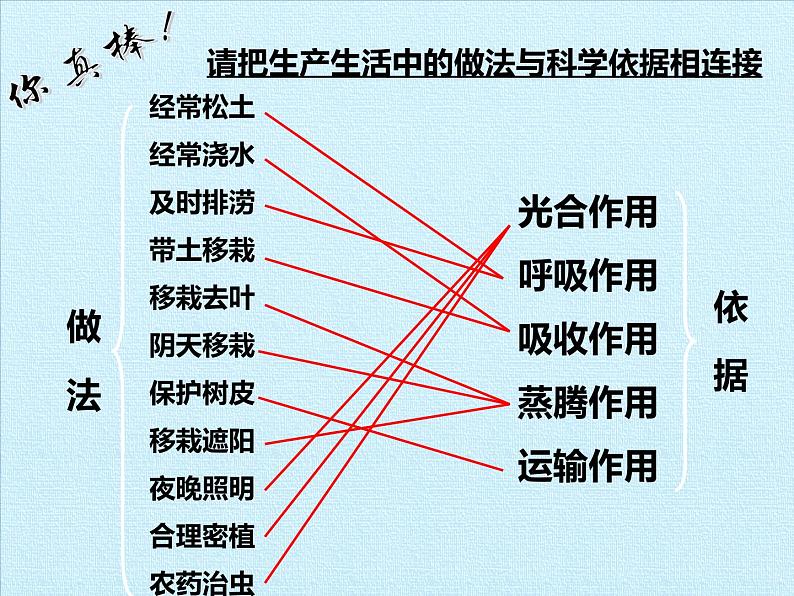 绿色植物在生物圈中的作用PPT课件免费下载04