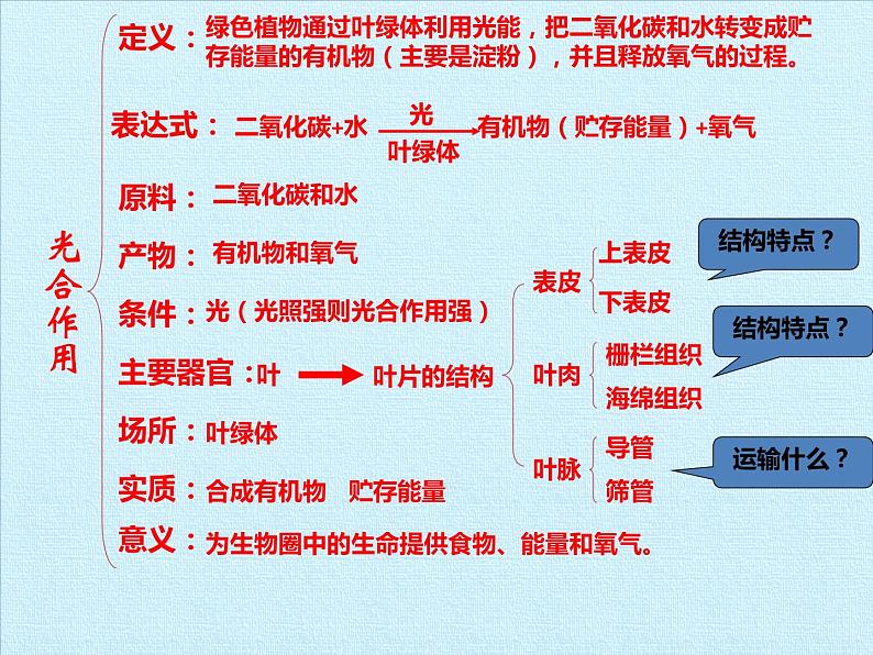 绿色植物在生物圈中的作用PPT课件免费下载05