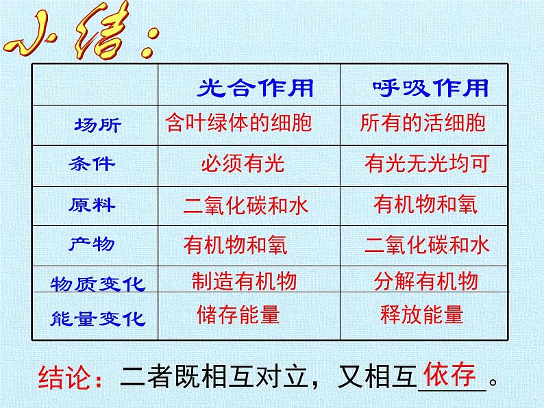 绿色植物在生物圈中的作用PPT课件免费下载08