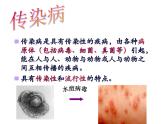 上海版八年级上册生物  3.2.1 常见传染病及其预防 课件   (共26张PPT)