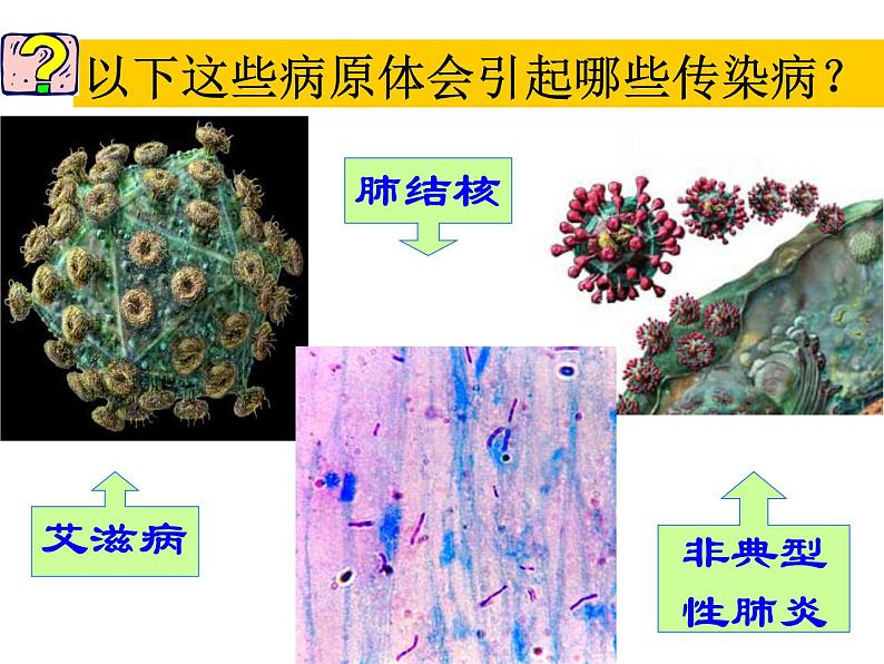 上海版八年级上册生物  3.2.1 常见传染病及其预防 课件   (共26张PPT)06