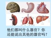 上海版八年级上册生物  1.1.6 器官是由什么构成的（2）人体主要器官的结构和功能 课件   (共21张PPT)