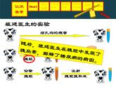 上海版八年级上册生物  2.2.4 激素的释放的怎样控制的（1） 课件   (共36张PPT)