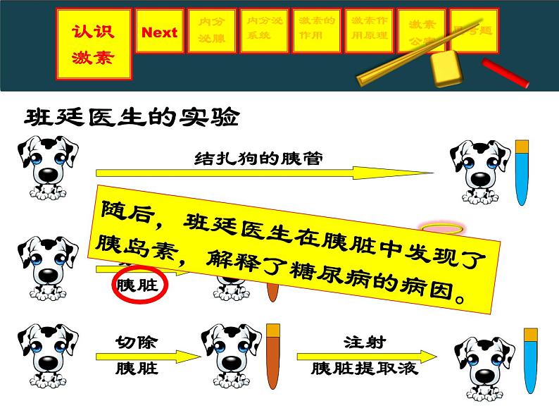 上海版八年级上册生物  2.2.4 激素的释放的怎样控制的（1） 课件   (共36张PPT)03