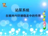 上海版八年级上册生物  1.2.7 泌尿系统是如何维持内环境稳定的 课件   (共17张PPT)