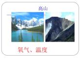 上海版八年级上册生物  1.2.1 人类能在怎样的环境中生存 课件   (共19张PPT)