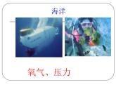 上海版八年级上册生物  1.2.1 人类能在怎样的环境中生存 课件   (共19张PPT)