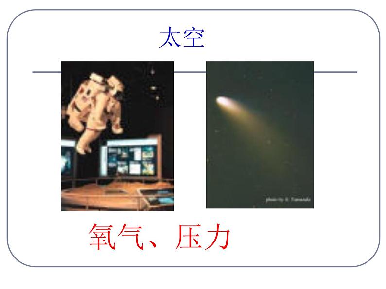 上海版八年级上册生物  1.2.1 人类能在怎样的环境中生存 课件   (共19张PPT)第8页