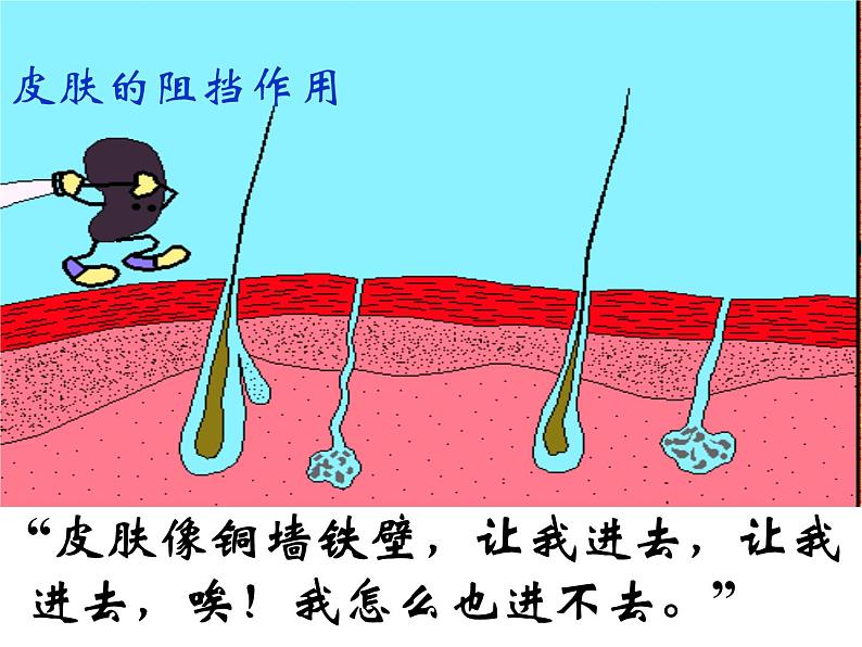 上海版八年级上册生物  3.2.2 人体的免疫功能 课件   (共22张PPT)02