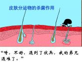 上海版八年级上册生物  3.2.2 人体的免疫功能 课件   (共22张PPT)