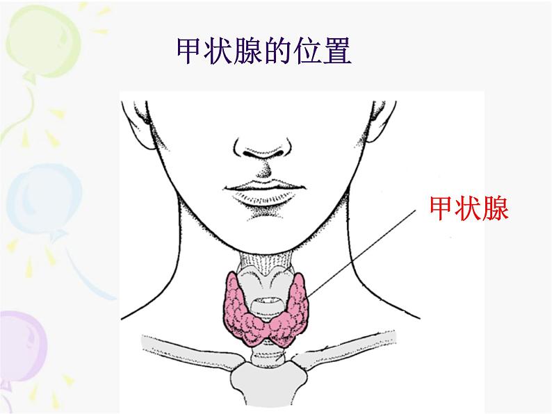 上海版八年级上册生物  2.2.1 激素有什么作用（1） 课件   (共27张PPT)第6页