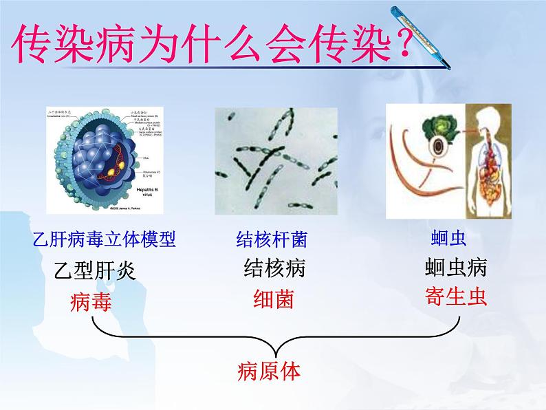 常见病及其预防PPT课件免费下载04