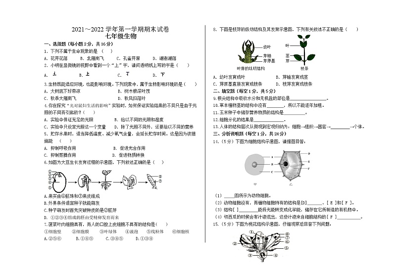 甘肃省酒泉市金塔县2021-2022学年七年级上学期期末考试生物试题（word版 含答案）01
