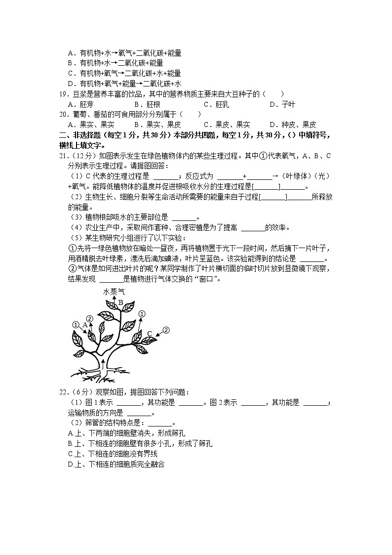 河南省驻马店市西平县2020-2021学年七年级上学期期末生物试题（word版 含答案）03