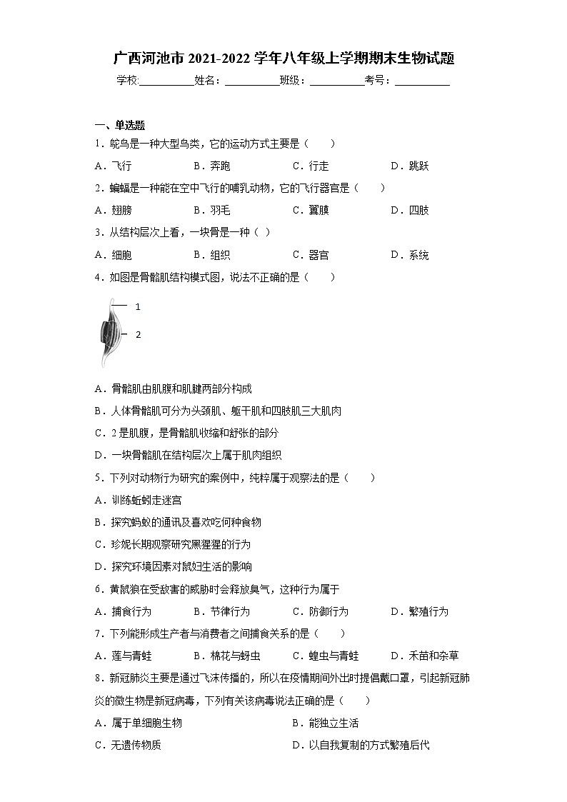 广西河池市2021-2022学年八年级上学期期末生物试题（word版 含答案）01